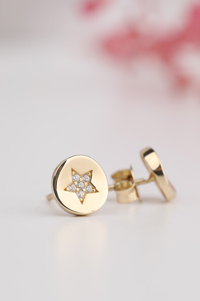 14 Ayar Altın Aynalı Yıldız Küpe