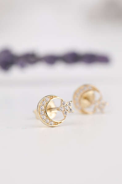 14 Ayar Altın Ayyıldız Küpe