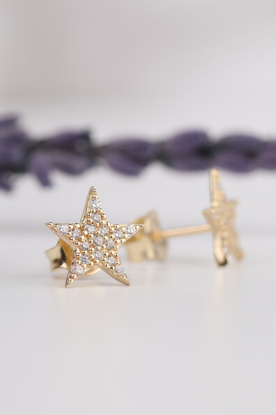 14 Ayar Altın Ful Taşlı Yıldız Küpe