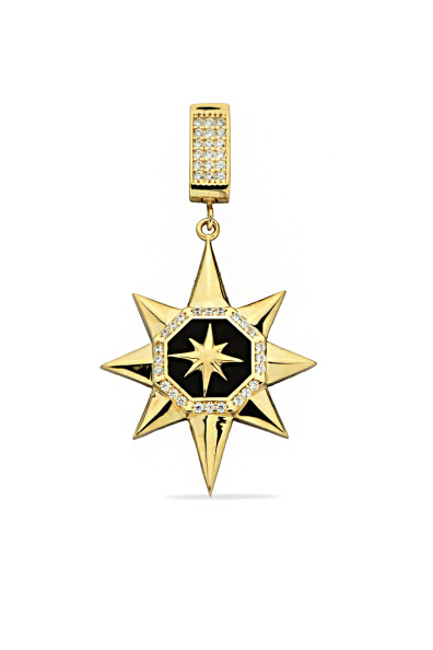 14 Ayar Altın Kuzey Yıldızı Kolye Ucu